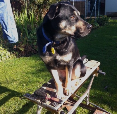 Ruby (aka Narla)
