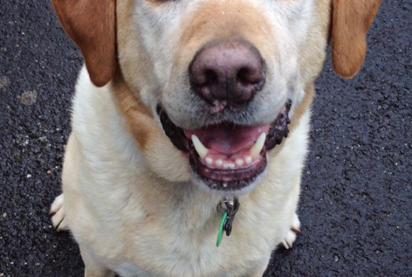 Charlie